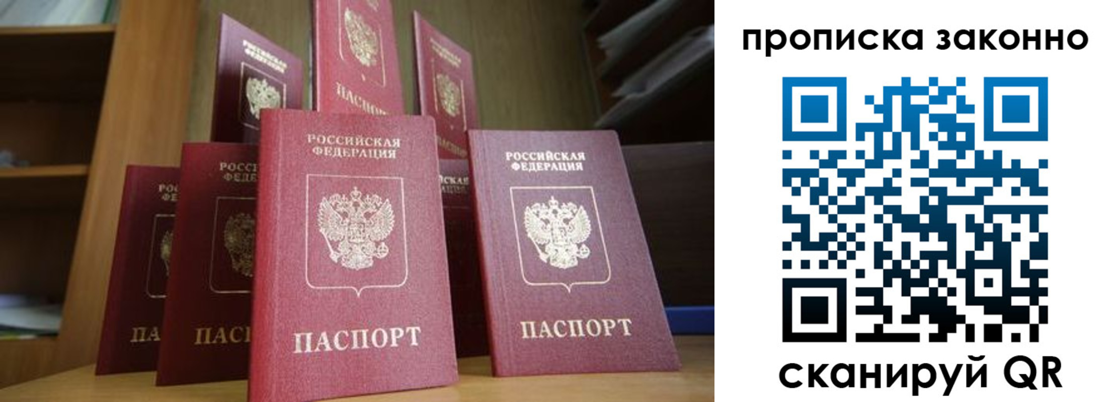 прописка в квартире в Нововоронеже